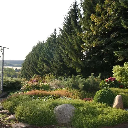 Sonne, Harz Und Sterne *