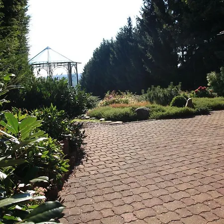 Sonne, Harz Und Sterne * Hohegeiß