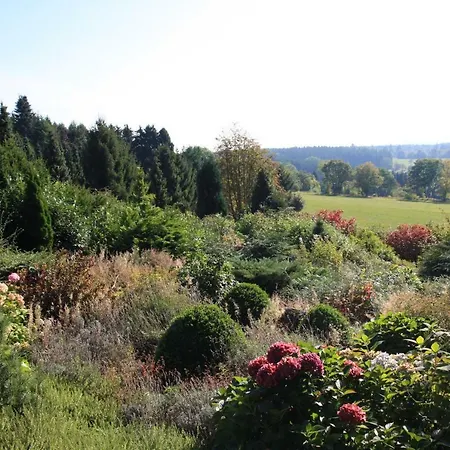 Sonne, Harz Und Sterne *