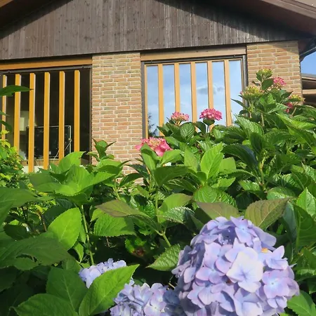 Semesterbostad Sonne, Harz Und Sterne Hohegeiß