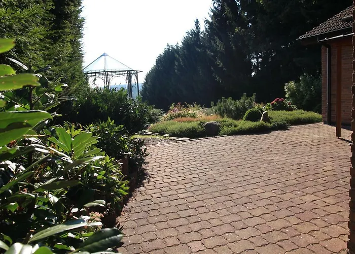 Sonne, Harz Und Sterne * Hohegeiß