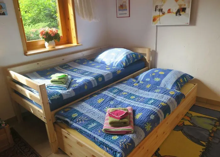 Sonne, Harz Und Sterne Hohegeiß
